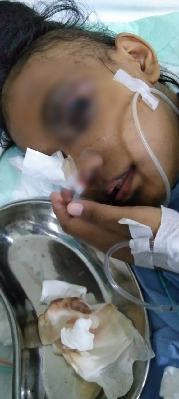 benihbaik_2023-04-11_117a12f0c0cea09d712fcf6d4d748fd1466b5c90_jpeg