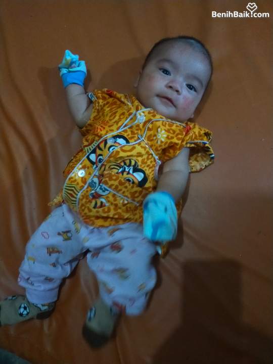 benihbaik_2023-04-12_20dd8f2d00c051c7481e2067082e36a67a06341d_jpeg