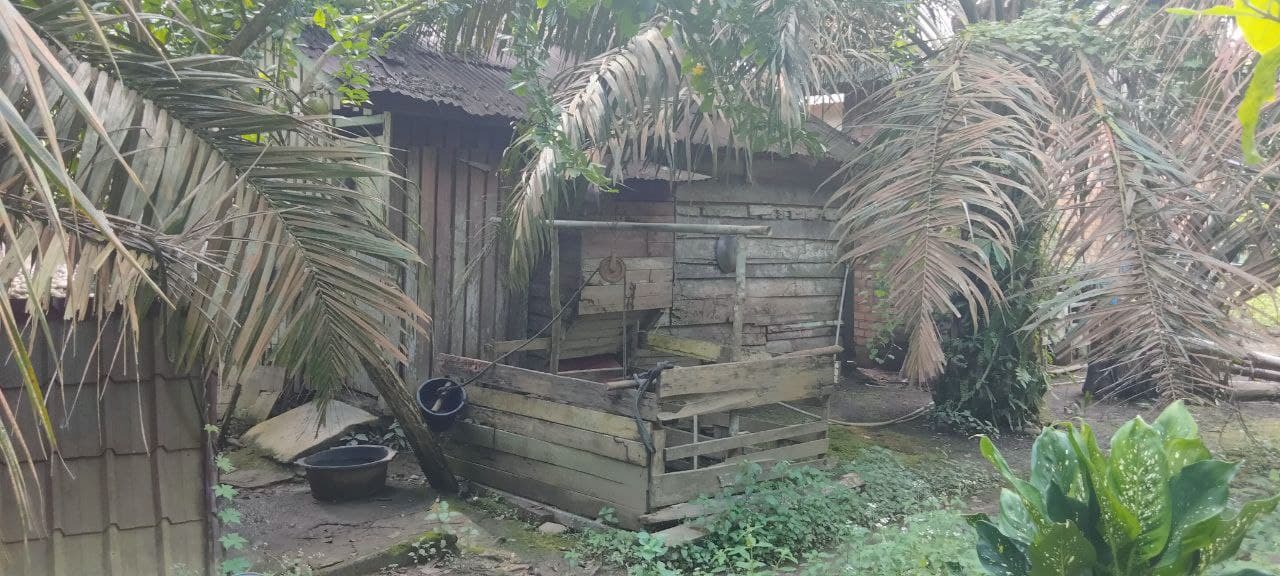 benihbaik_2023-04-17_d6babe80637633ed68516e119f97c4c789ea36df_jpeg