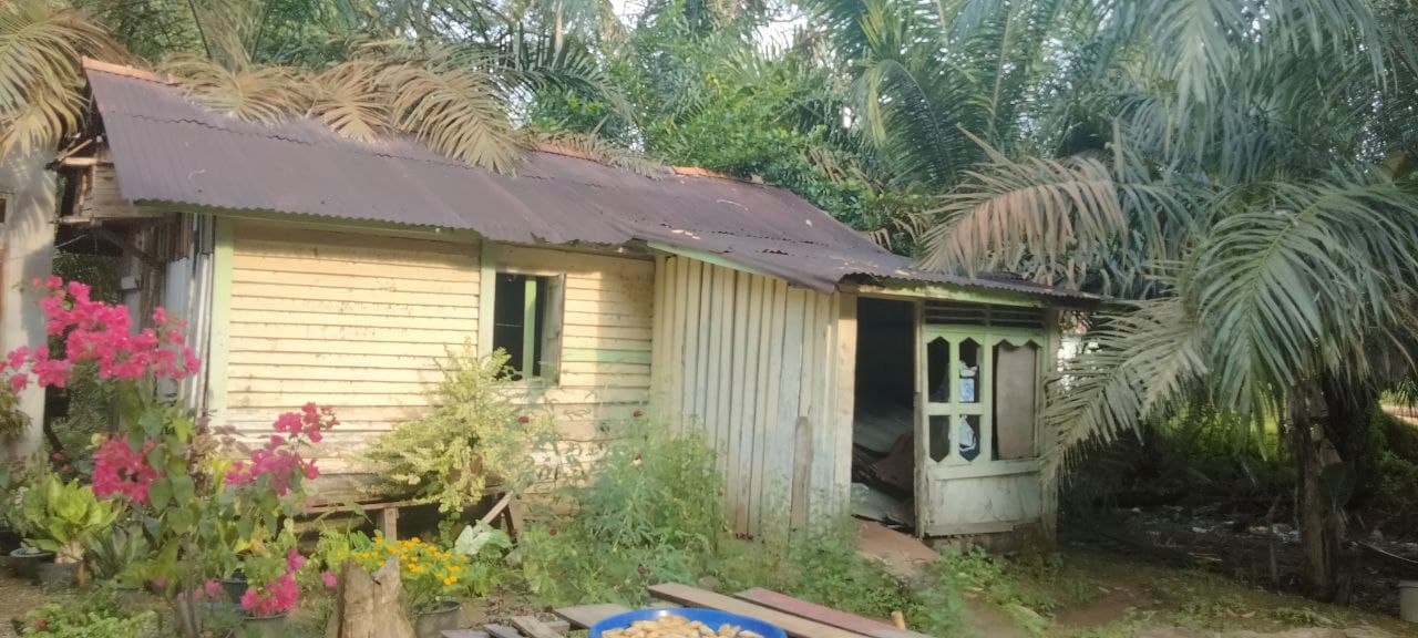 benihbaik_2023-04-17_fcc548e6118302223ce5489ebaca7b7ffbb54610_jpeg