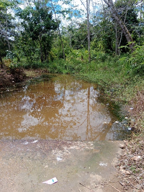 benihbaik_2023-05-02_3606fb68e94beb9e264285a5feb45648869a4ce1_jpeg