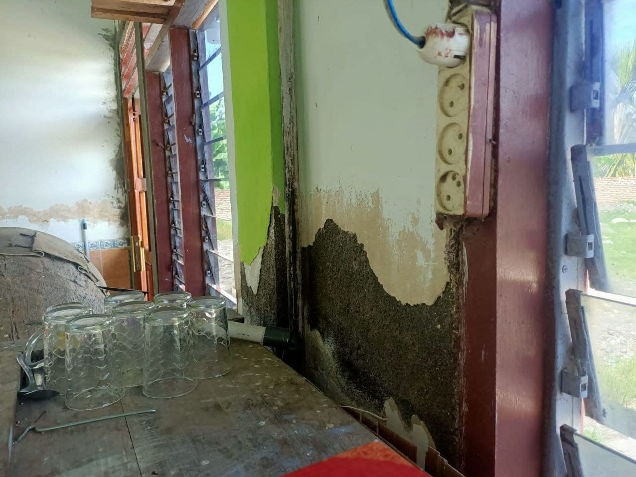 benihbaik_2023-05-03_d17ebd19d8b22bfaa47e5b10f81cb3c394781fb1_jpeg