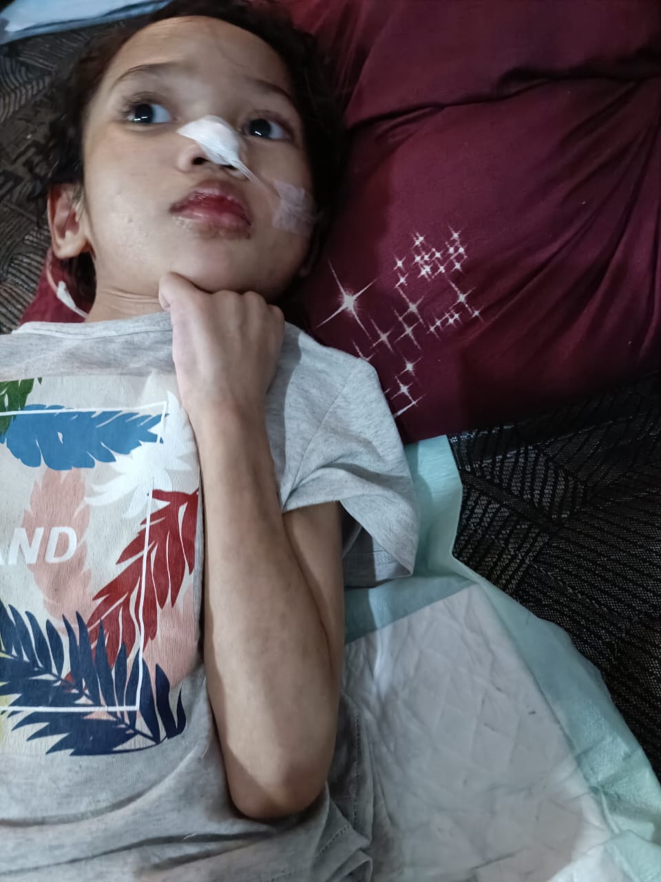 benihbaik_2023-05-11_c748ddeb152a344a8c38bace89cf581a00a43c4c_jpeg