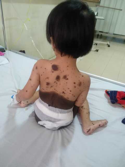 benihbaik_2023-05-12_0d333b7b9c201d839246e05500139eb2fd3b3935_jpeg