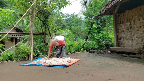 benihbaik_2023-05-12_2487e4ae306a2df0d60e9996ca3da9d08639f917_jpeg