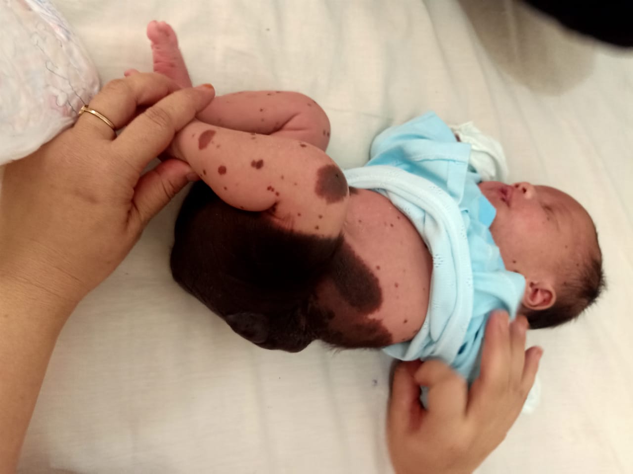 benihbaik_2023-05-12_912bb1a610602b377fb982601acdb0b8320c3d76_jpeg