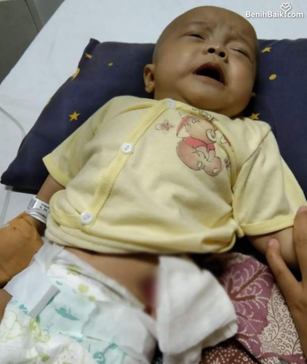 benihbaik_2023-05-12_e236d2bc289a99eccec5963d59af6b493ecdf890_jpeg