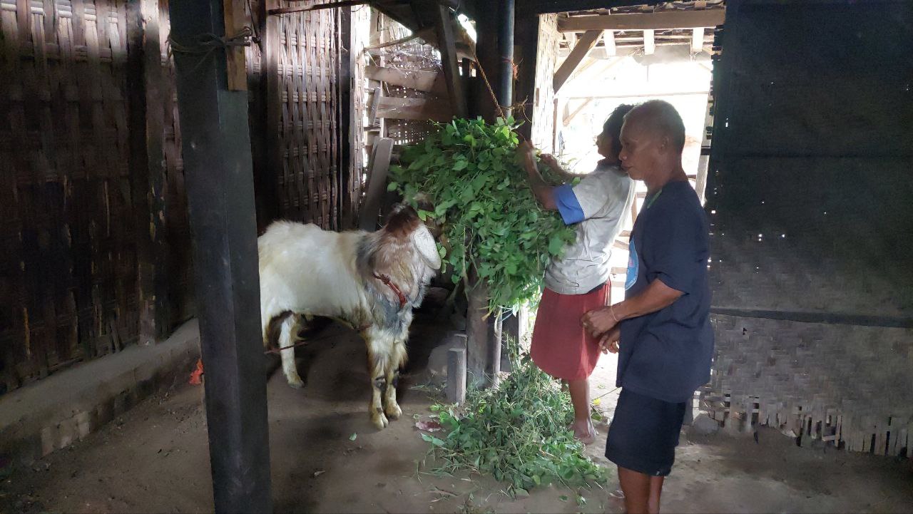 benihbaik_2023-05-12_eb4f5dba0b8720606ad121133395a4eb6061f9e1_jpeg