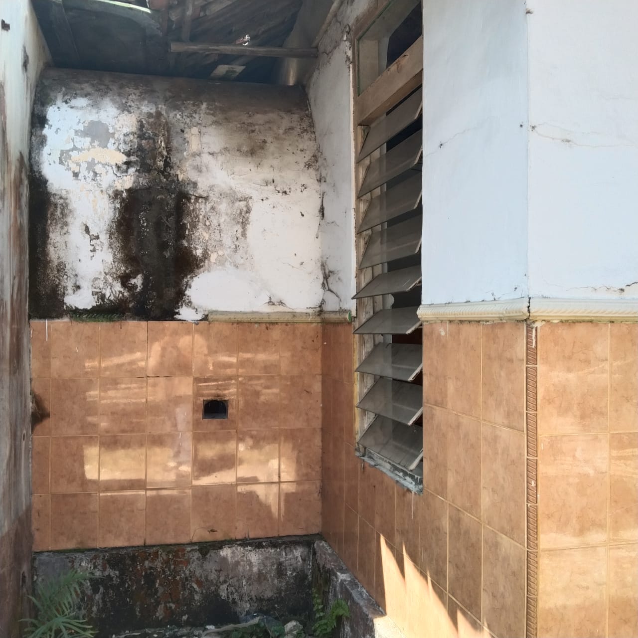 benihbaik_2023-05-16_1ac944359e6225c01b93bc62de513003ce23817e_jpeg