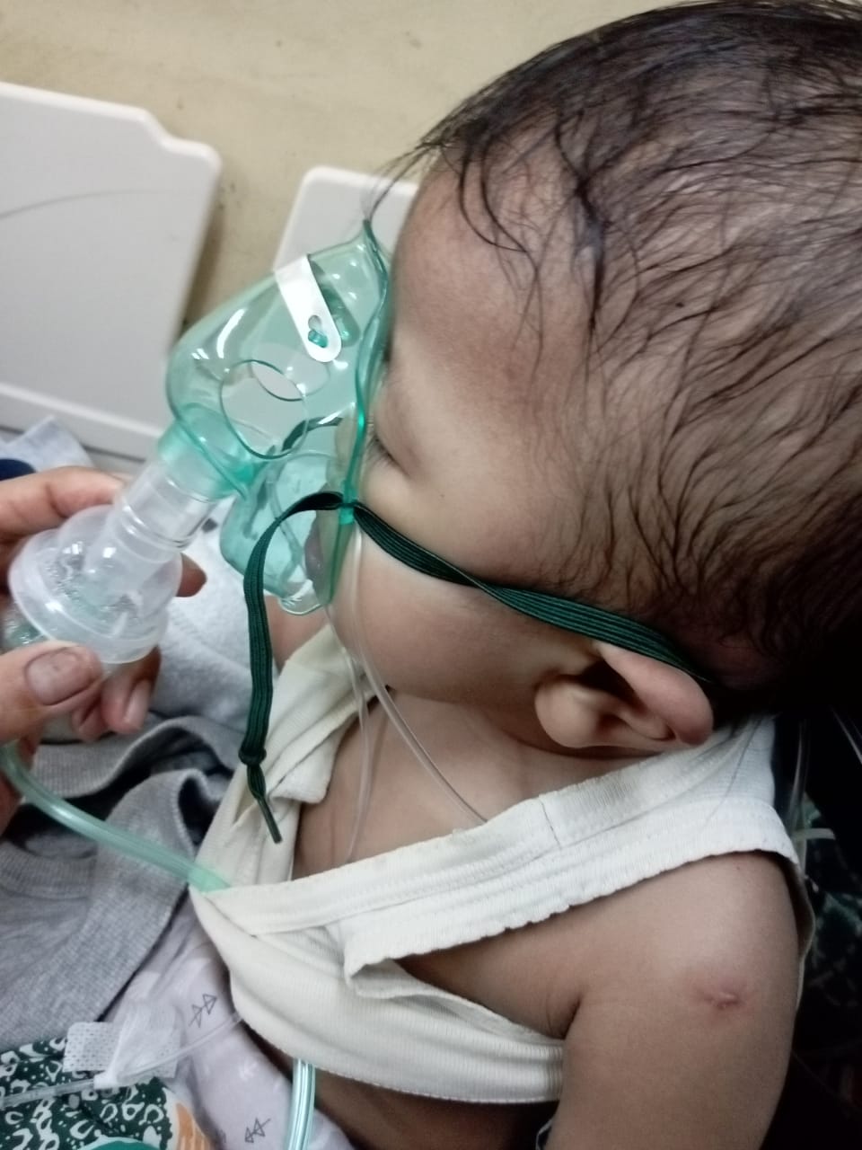 benihbaik_2023-05-22_887f8bc3f9f77770578b773f7301d7f7458e1416_jpeg