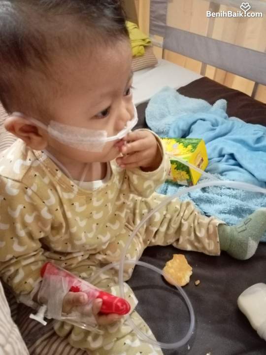 benihbaik_2023-05-22_f31695433f0791565afd95e3fe62e6a5579e5460_jpeg