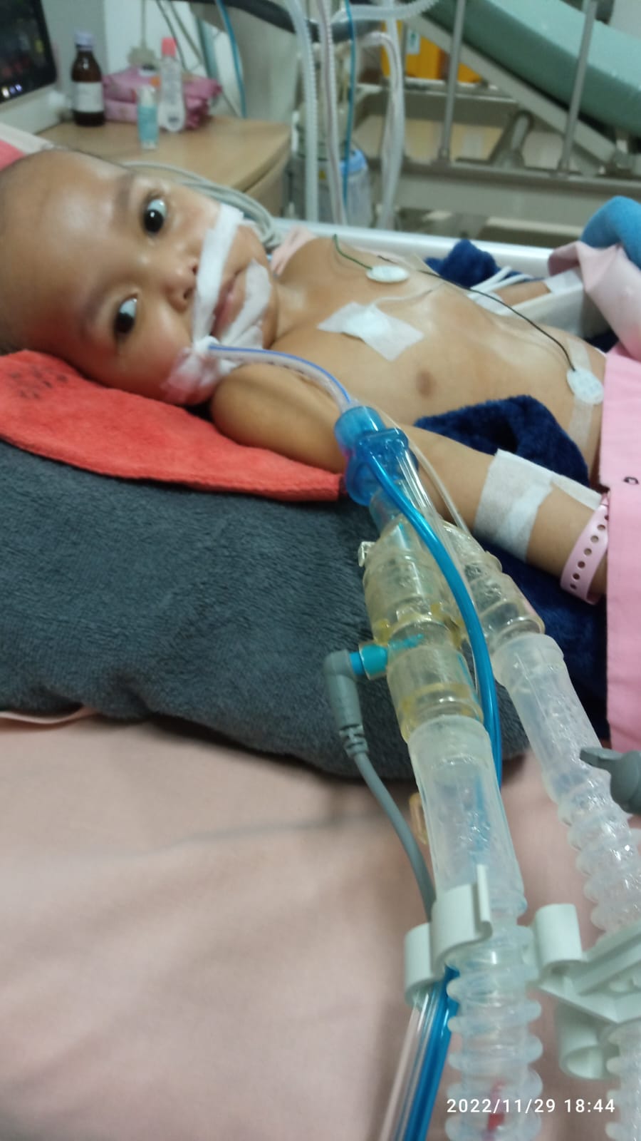 benihbaik_2023-05-24_0f927d3eb8d848e387ddb3a1d142a0d5cf0a9419_jpeg