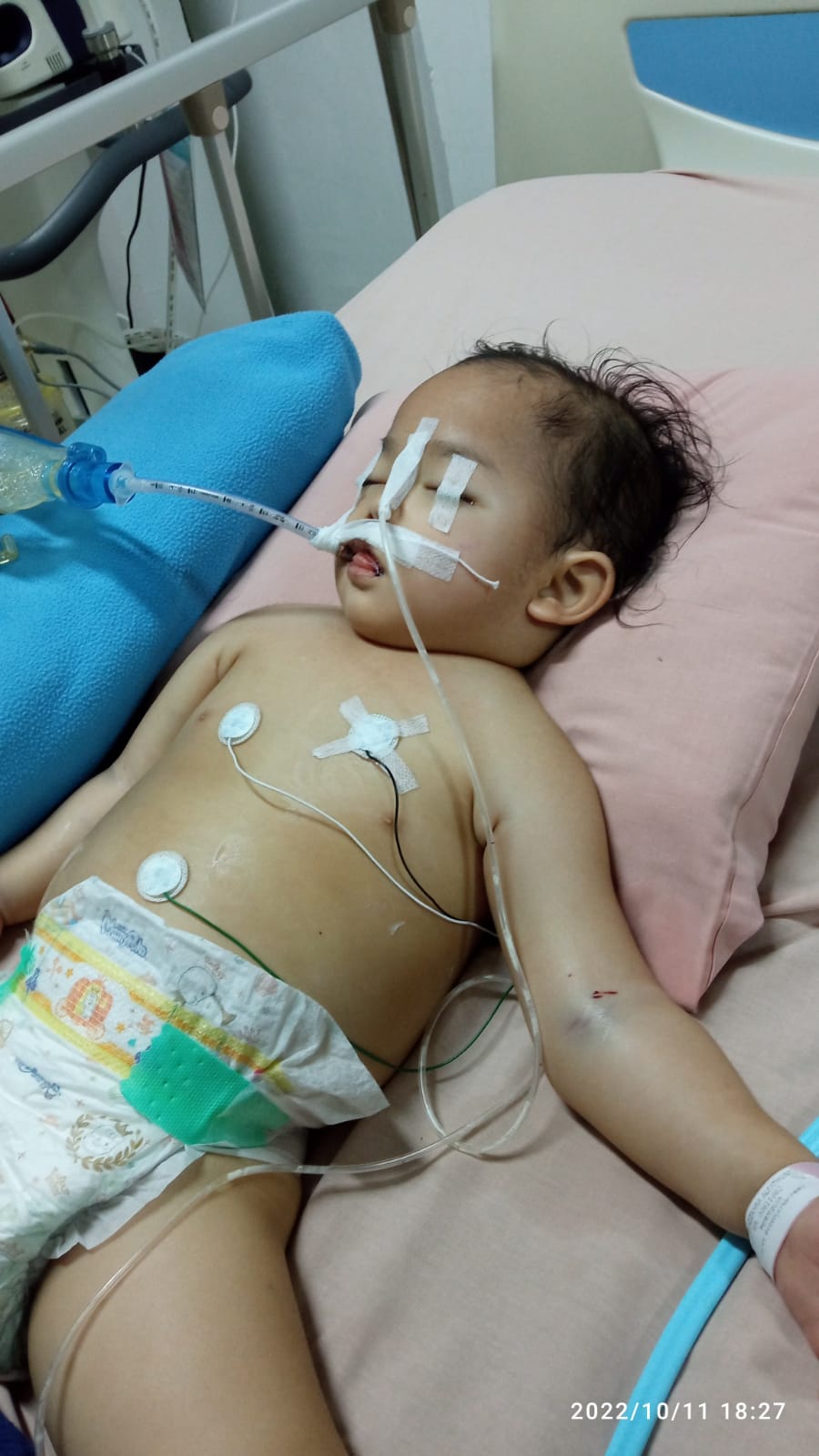 benihbaik_2023-05-24_39b3863acc6a1a600780e47c610616f9e5ded78b_jpeg