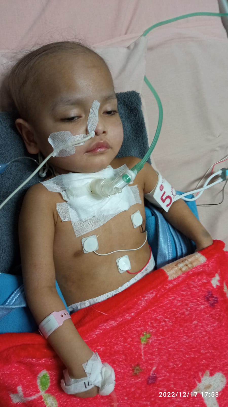 benihbaik_2023-05-24_6b5f65013f900f387cae72597ea22e7ac0e59968_jpeg