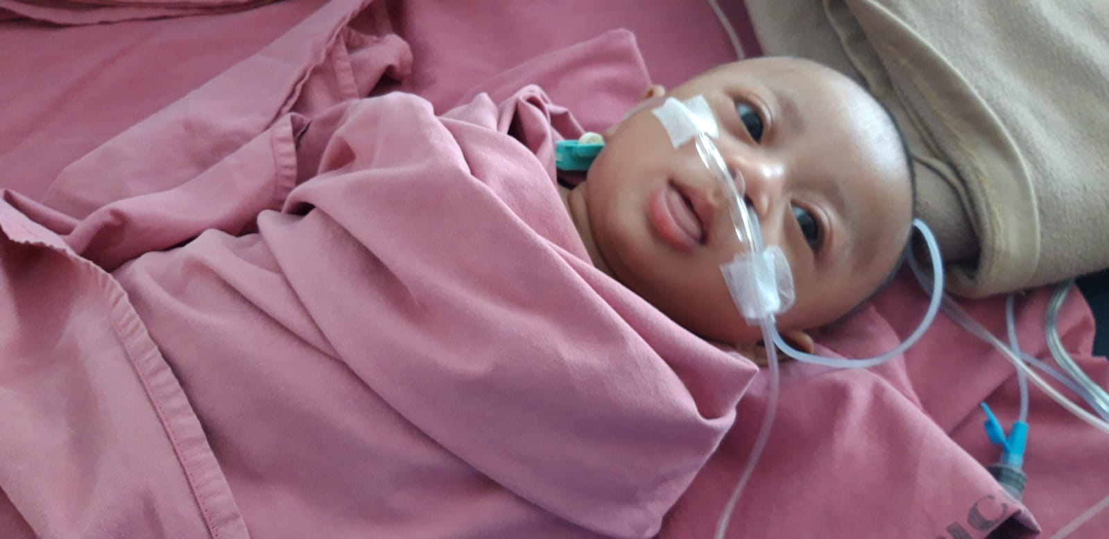 benihbaik_2023-05-25_2df3c944473ed9702ad5af0ebf8e2961617fd7a9_jpeg