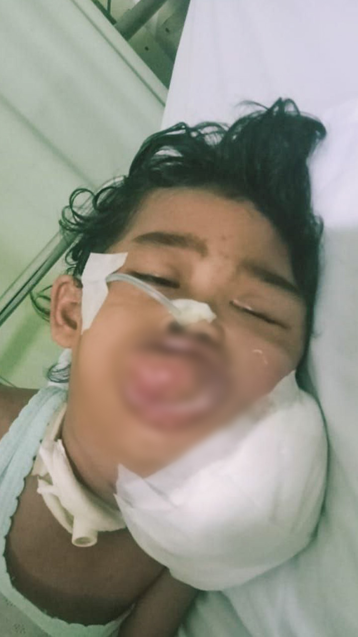 benihbaik_2023-06-06_892b9d14da5f708cefff18148d7cb3a4d2e51dd2_jpeg