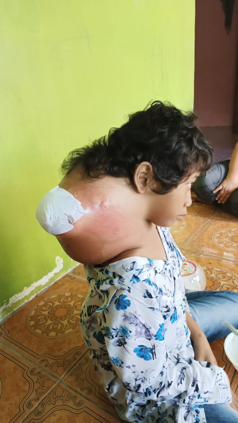 benihbaik_2023-06-08_958234bd1229dddbce410cdae8363dd57392f340_jpeg