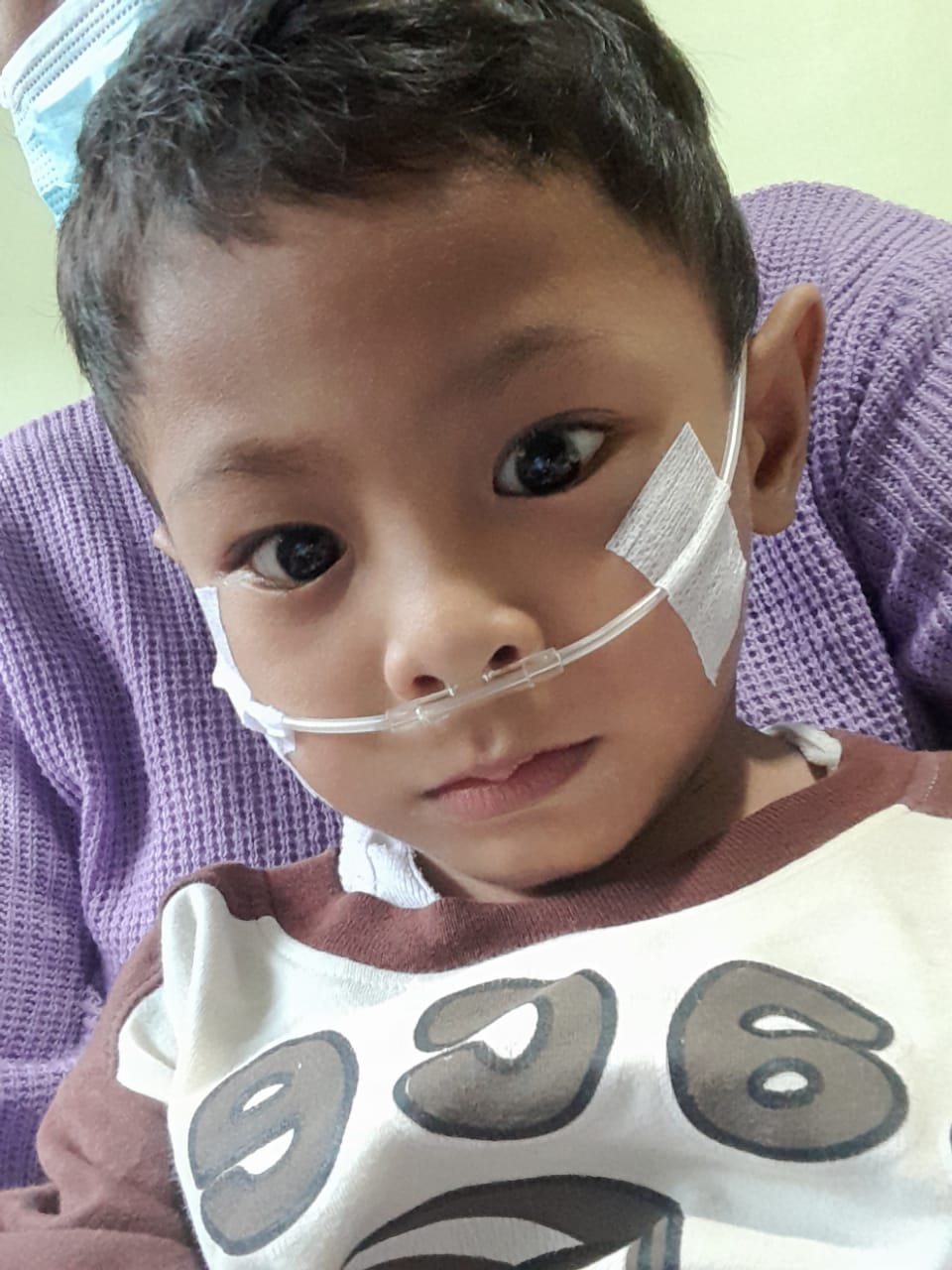 benihbaik_2023-06-08_b435bb3519783faaf09712088ca185ad7e6604e4_jpeg