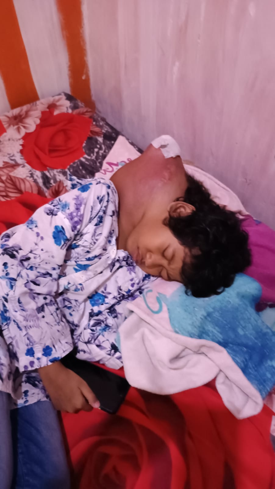 benihbaik_2023-06-08_c663dbf1f19f2bf07dfd0719fe4103ea5136d215_jpeg