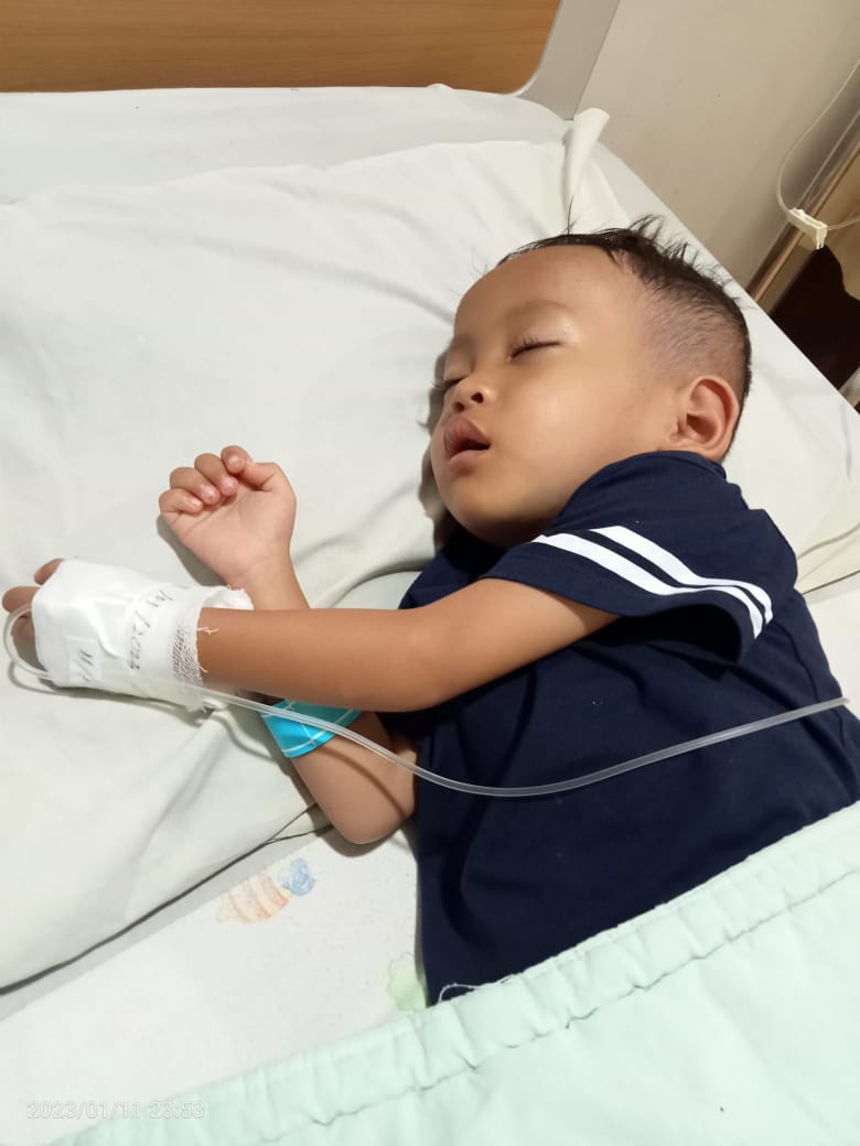 benihbaik_2023-06-12_01d7f4bc1f58567bb4f0f965c158761d0e8907fc_jpeg