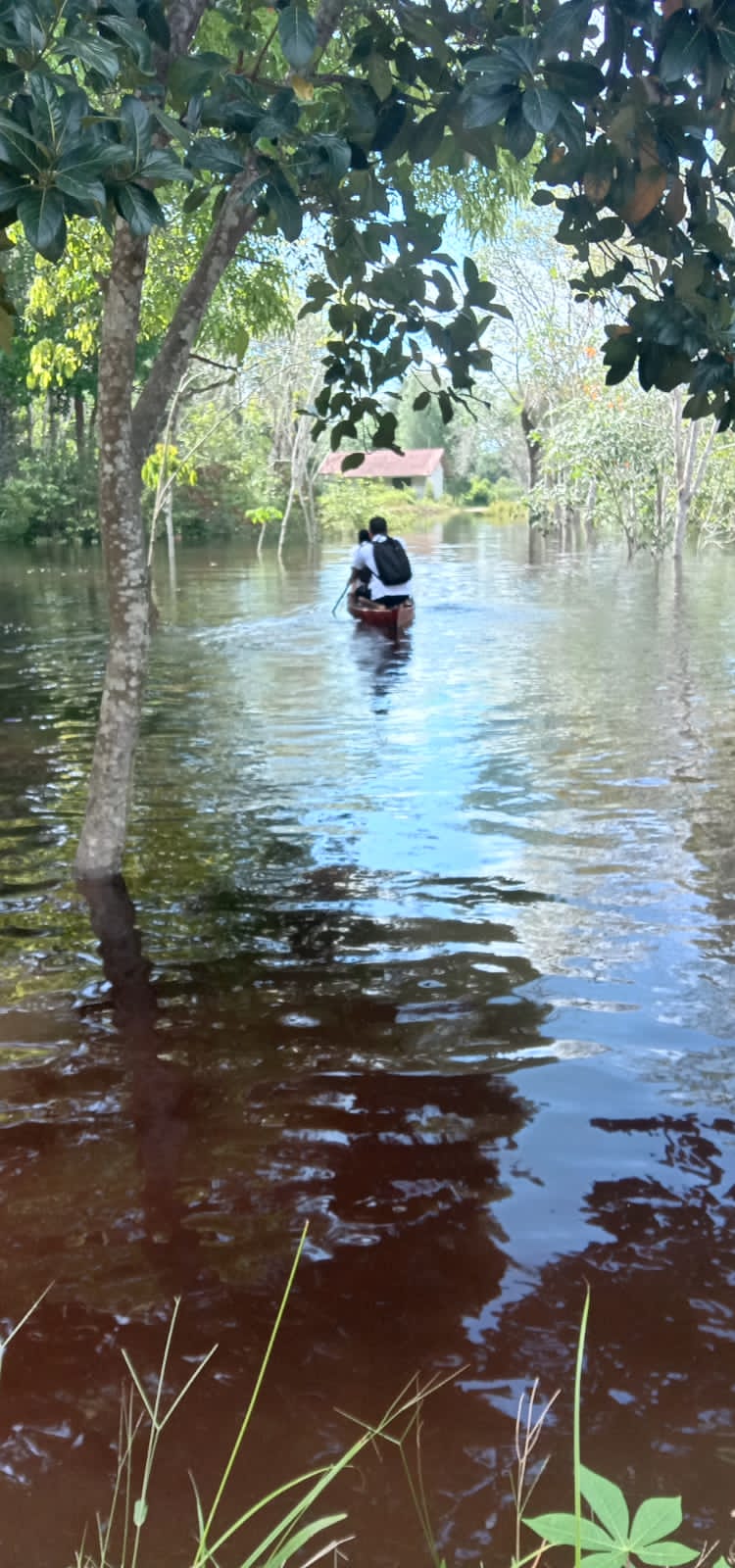 benihbaik_2023-06-12_07335710fa1a80b2be9188b815560d57f420ef02_jpeg