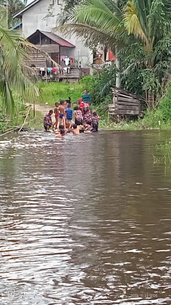 benihbaik_2023-06-12_125e2c08b6a6c350ad612f17499b2919d39537d5_jpeg