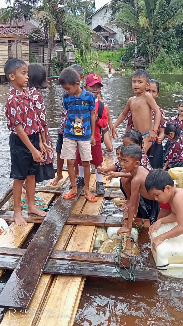 benihbaik_2023-06-12_4227cbecb8b9c463e969cafae7be173243f3aee1_jpeg