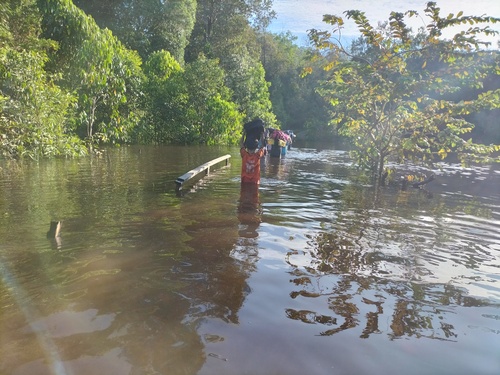 benihbaik_2023-06-12_90fdebcd7ed91cc5a0ad2f6c0eeb148178e4f373_jpeg