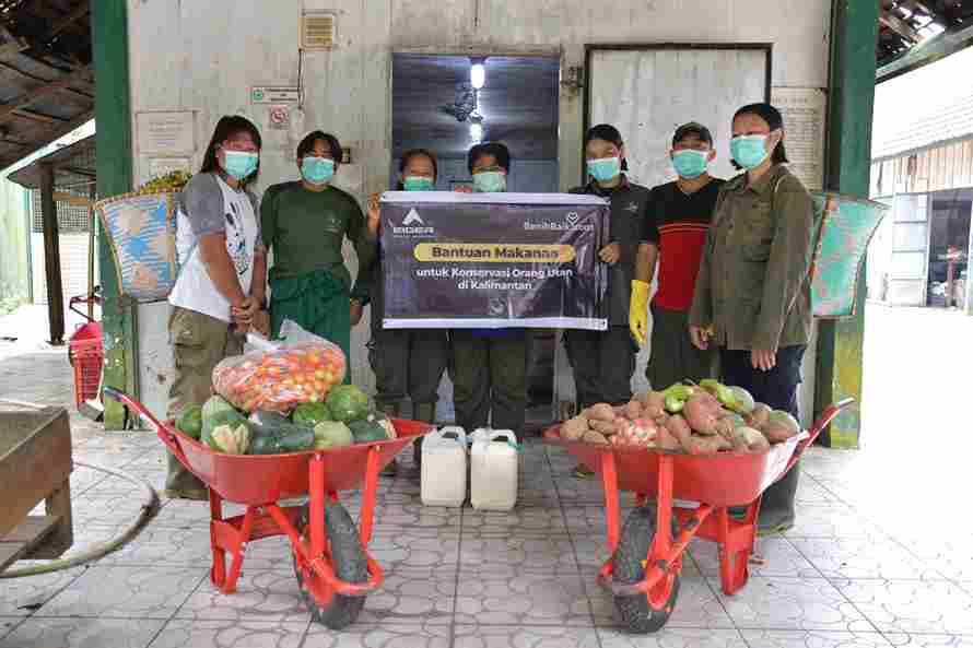 Bantuan Donasi Dari Eiger Telah Disalurkan Untuk Pemenuhan Makanan Orangutan Di Bawah Lembaga Bosf