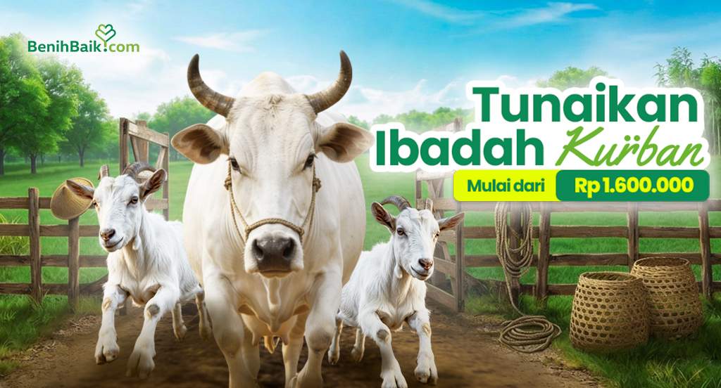 Tunaikan Ibadah Kurban