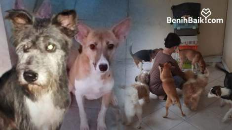 Benihbaik_2022-07-13_165770254362ce888fb4a6f.jpeg