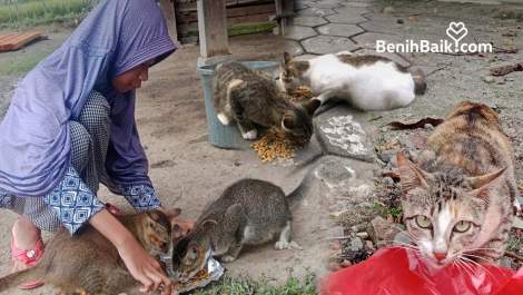 Benihbaik_2023-01-02_167265298763b2a8bbad962.jpeg
