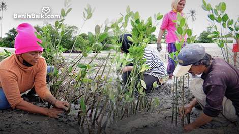 Ayo Jaga Kelestarian Mangrove di Kawasan Muara Gembong