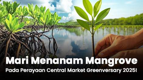 Mari Menanam Mangrove Pada Perayaan Central Market Greenversary 2025!