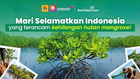 Mari Selamatkan Indonesia yang terancam kehilangan hutan mangrove!