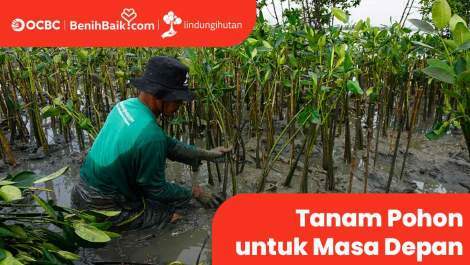 Saat Air Terus Meninggi, Mari Tanam Harapan untuk Bumi
