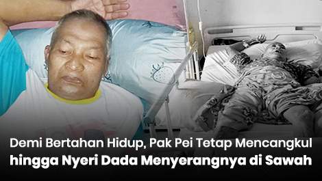 Demi Bertahan Hidup, Pak Pei Tetap Mencangkul hingga Nyeri Dada Menyerangnya di Sawah