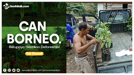 CAN Borneo Berupaya Hentikan Deforestasi