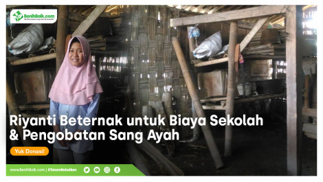 Riyanti Beternak Untuk Biaya Sekolah Dan Pengobatan Sang Ayah