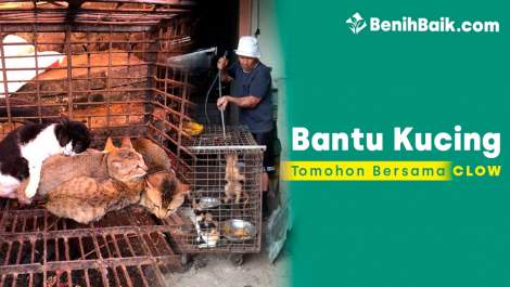Bantu Kucing Tomohon Bersama CLOW